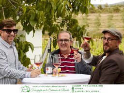 Festival Mar de Tethys 2026 - Bodega Vetas